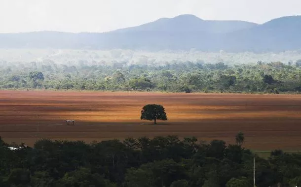 Área de cerrado desmatada para plantio no município de Alto Paraíso (GO)