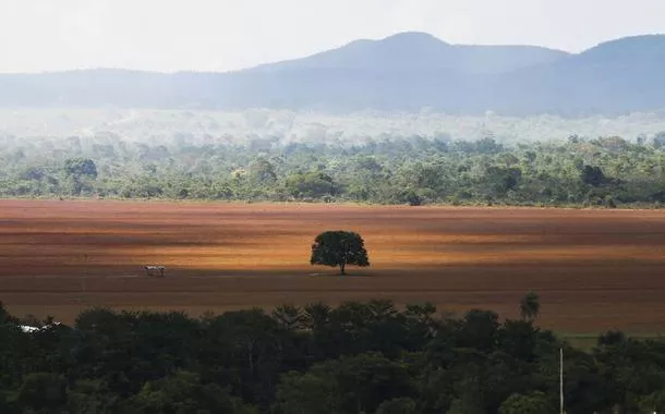 Áreaagclub7 betcerrado desmatada para plantio no municípioagclub7 betAlto Paraíso (GO)