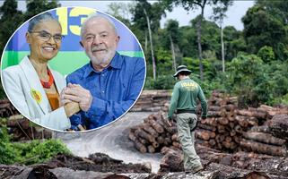Governo do presidente Lula estabeleceu a meta de zerar o desmatamento na Amazônia até 2030
