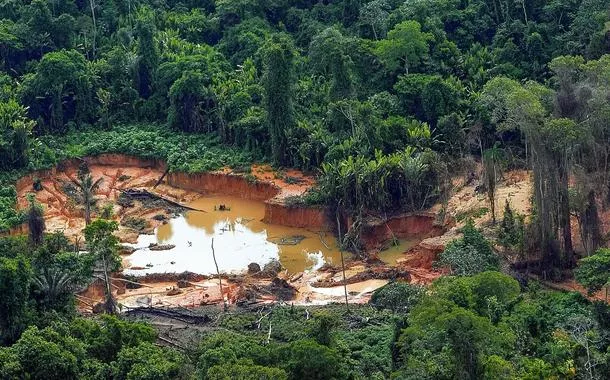 Voos clandestinos em terra yanomami caem 90% após operação especial