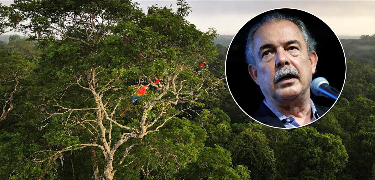 Amazônia e Aloizio Mercadante (Foto: Reuters) Amazônia e Aloizio Mercadante
