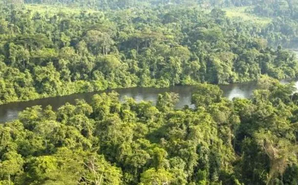 Floresta tropical da Bacia do Congo, na África Equatorial