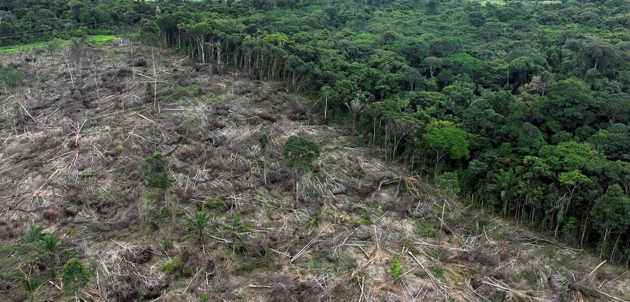 Vista de drone mostra área desmatada na Amazônia, em Uruará, Brasil