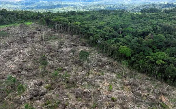 Protagonismo ambiental do Brasil em risco