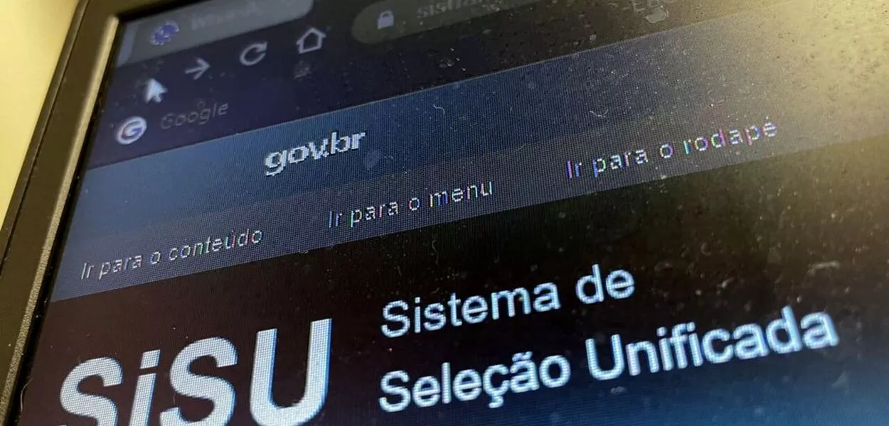 Sisu