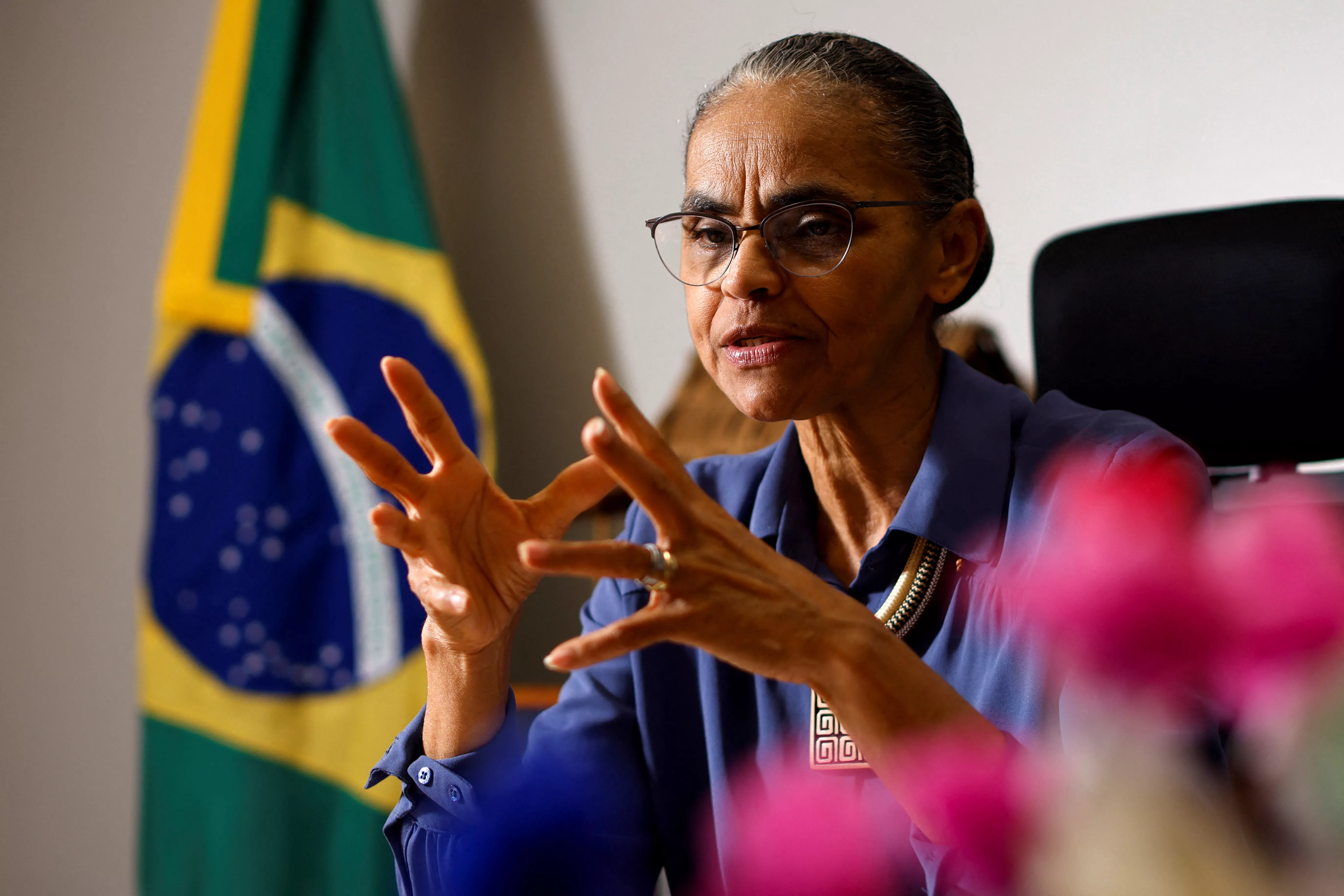 Ministra Marina Silva