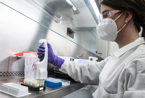 Desvendando o mundo dos bancos de óvulos: um guia completo