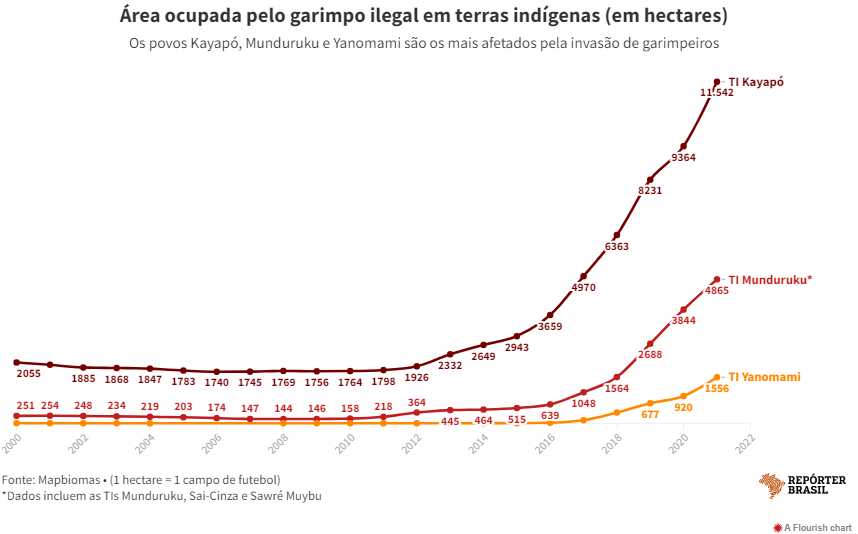 grafico