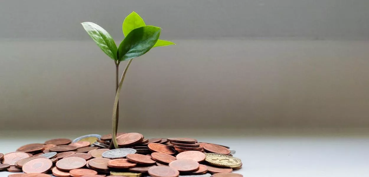 A era dos paradoxos mostra sua cara