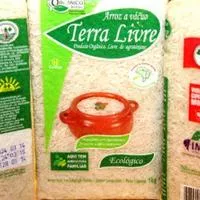 Enchentes no Rio Grande do Sul levam o MST a perder 50% da produção de arroz orgânico