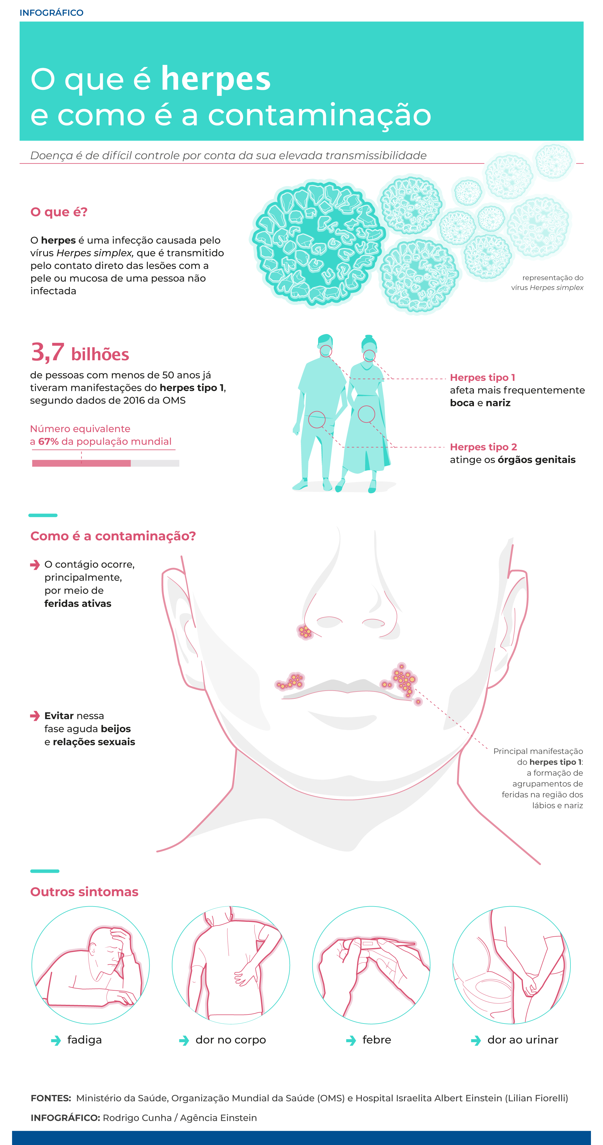 infografico