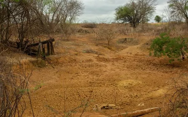 O desmatamento no cerrado registra recorde de alertas no sistema Deter