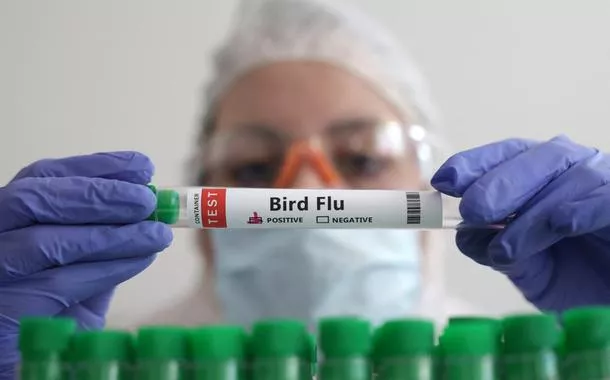 EUA confirmam primeiro caso grave de gripe aviária em humano