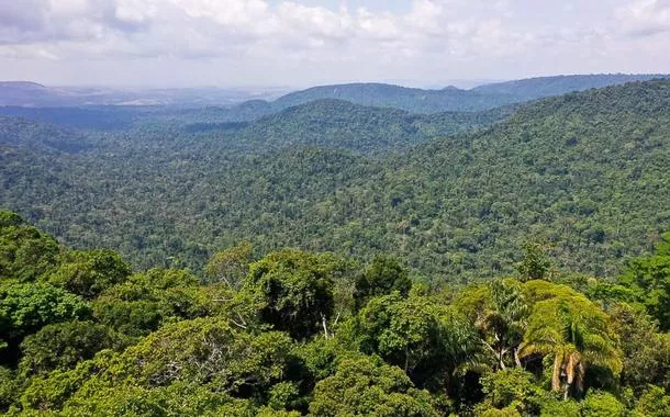 Plano Amazônia: Segurança e Soberania será fortalecido com injeção de R$ 318 milhões