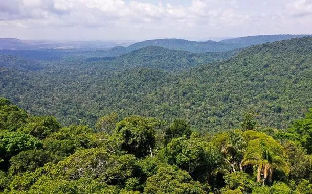 Amazônia registra queda histórica de 45% no desmatamento, menor nível da série