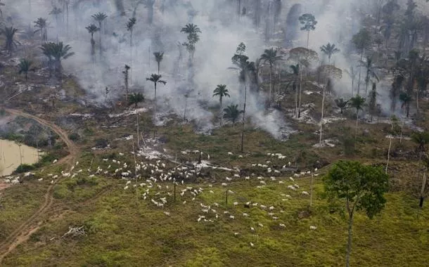 Queimada e desmatamento em área de criação de gado em São Félix do Xingu (PA)