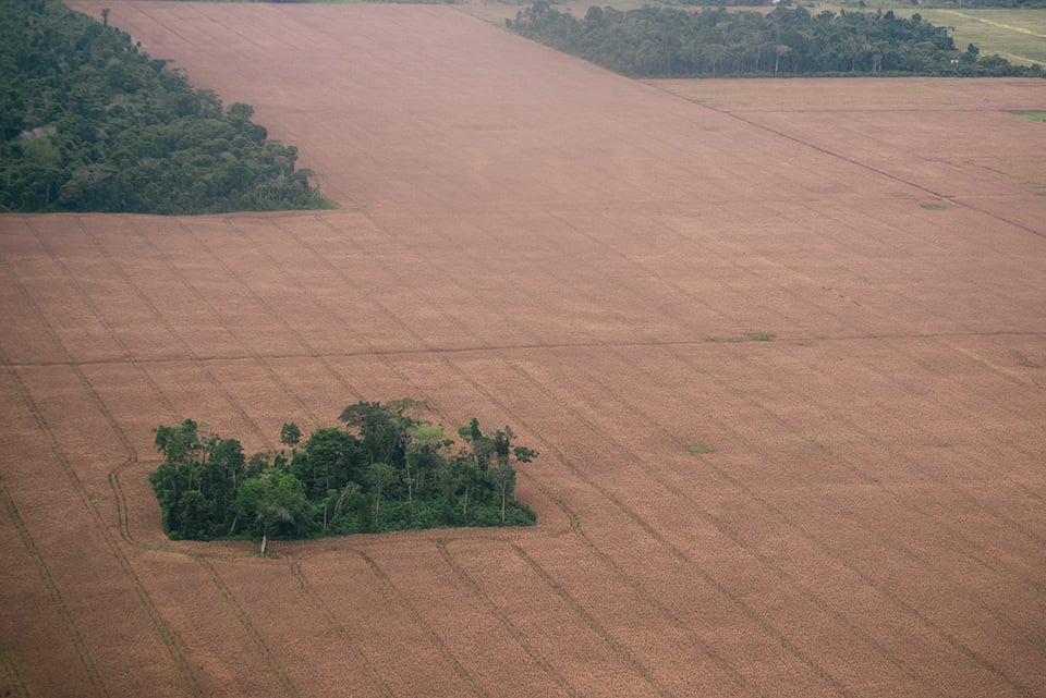 Municípios da região Tapajós, no sudoeste do Pará, como Belterra, viraram alvo de sojeiros após a construção do porto graneleiro da Cargill em Santarém