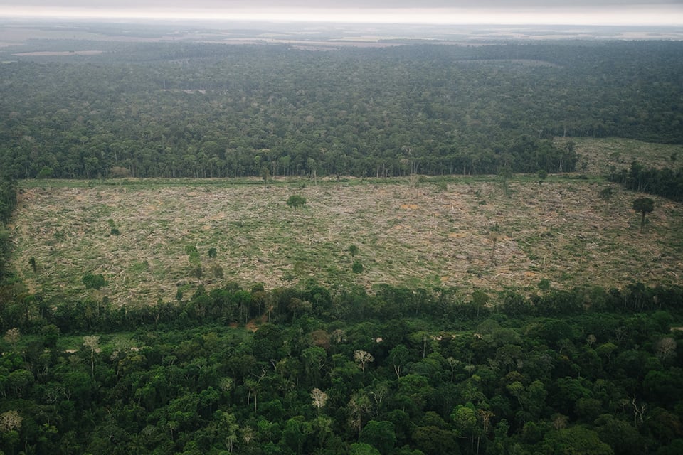 Plantações de soja pressionam terras indígenas e unidades de conservação em Itaituba, no sudoeste do Pará