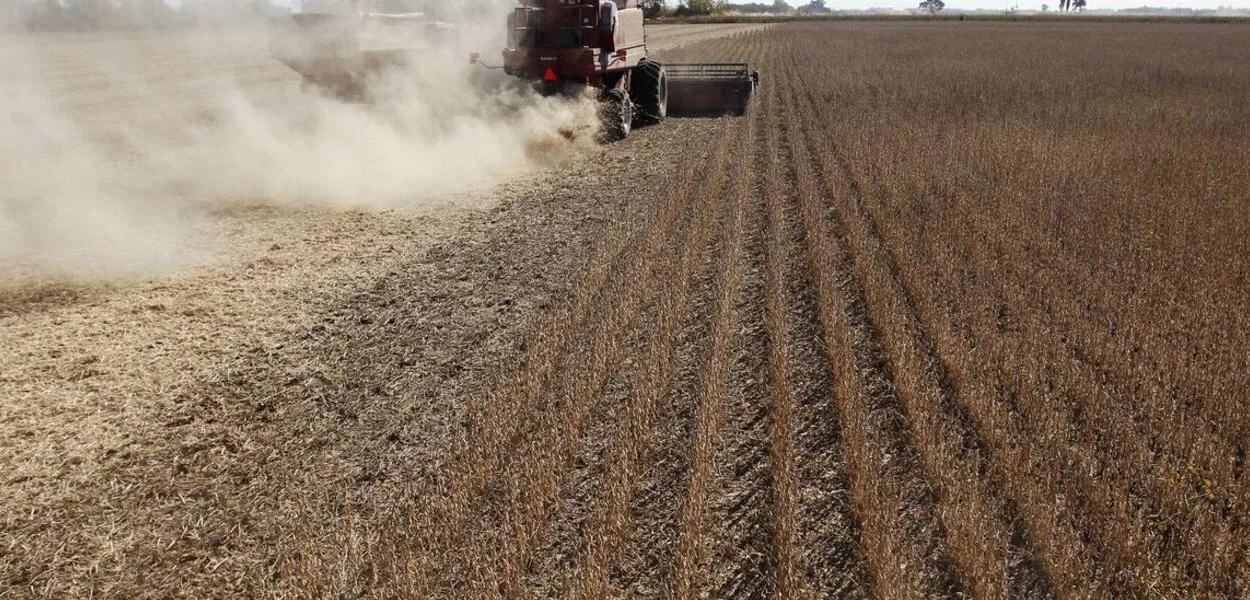Plantação do agronegócio