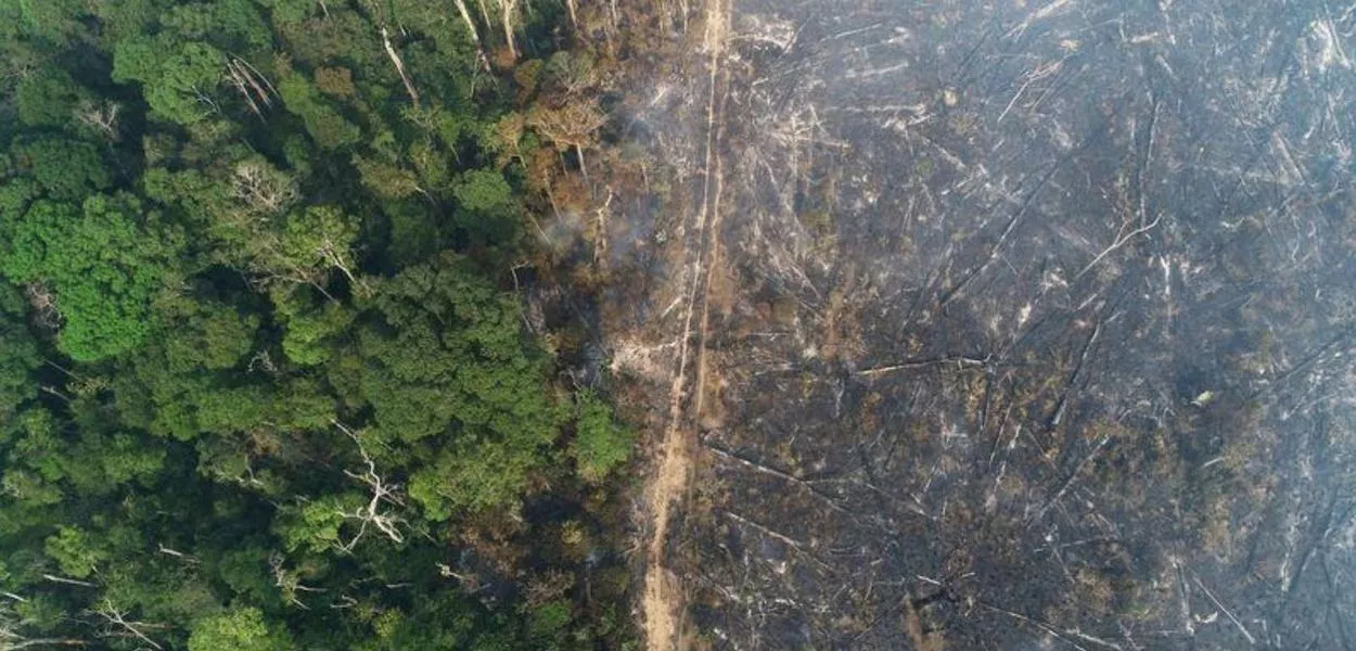 Amazônia