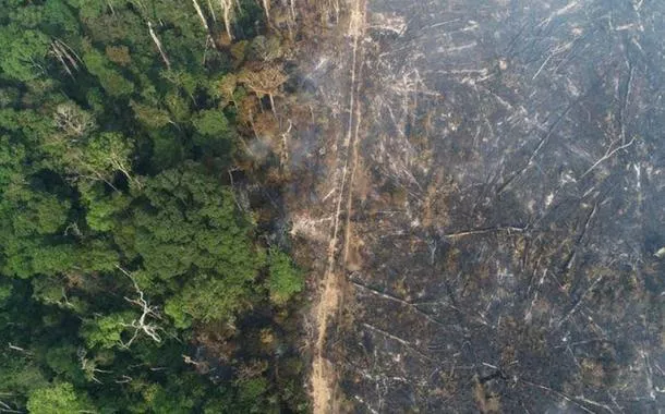 Perfis nas redes sociais fazem alerta e "Amazônia em chamas" bomba na internet (vídeo)