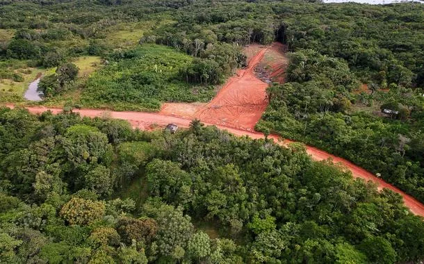 Amazônia concentra metade dos conflitos no campo registrados em 2023, aponta CPT