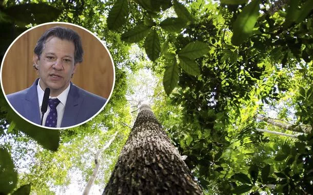 Haddad propõe fundo global para florestas e vê na China aliada estratégica pelo clima