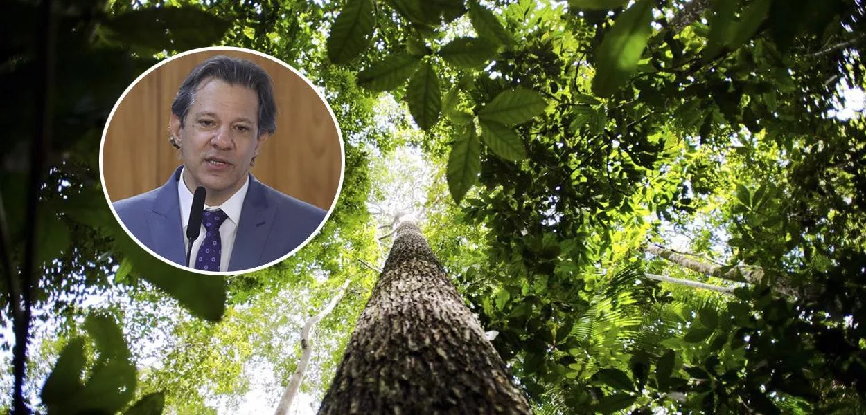 Fernando Haddad e Amazônia 