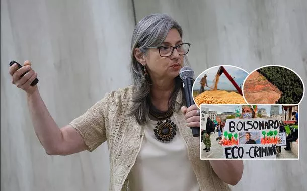 Luciana Gatti, desmatamento, produção agrícola e um protesto contra a gestão ambiental brasileira no governo Jair Bolsonaro 