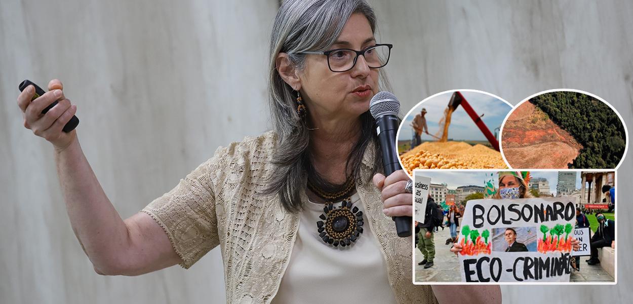 Luciana Gatti, desmatamento, produção agrícola e um protesto contra a gestão ambiental brasileira no governo Jair Bolsonaro (Foto: Antônio Cruz-Agência Brasil I Amanda Perobelli-Reuters I Divulgação
) Luciana Gatti, desmatamento, produção agrícola e um protesto contra a gestão ambiental brasileira no governo Jair Bolsonaro