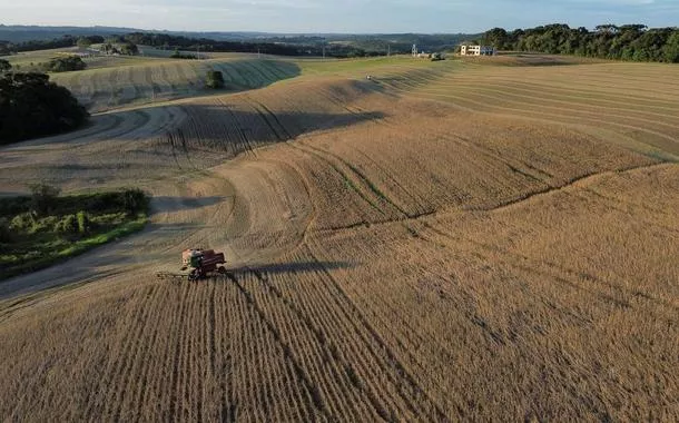 Brasil bate recorde na safra 2024/25 com 350,2 milhões de toneladas de grãos, alta de 16,3%, segundo dados da Conab.