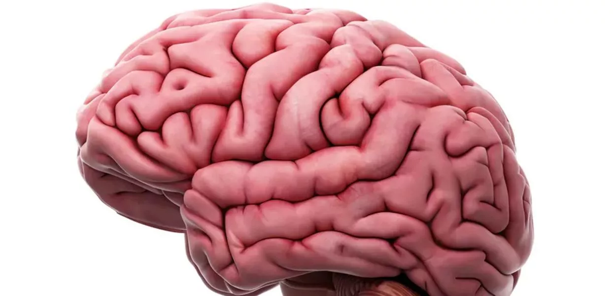 Dia do Amigo: relação é fundamental para a saúde mental, diz psicóloga