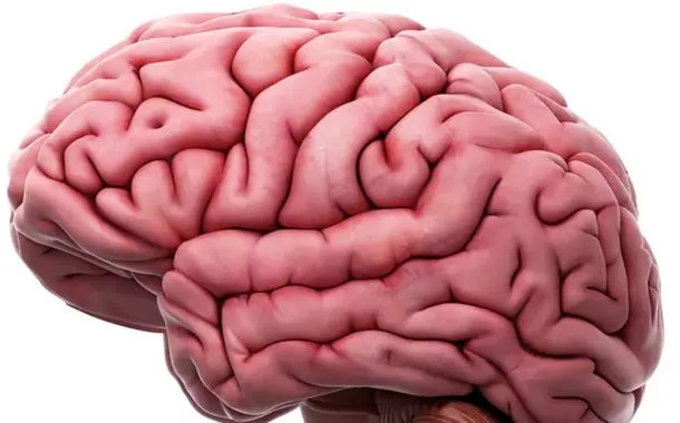 Dia do Amigo: relação é fundamental para a saúde mental, diz psicóloga
