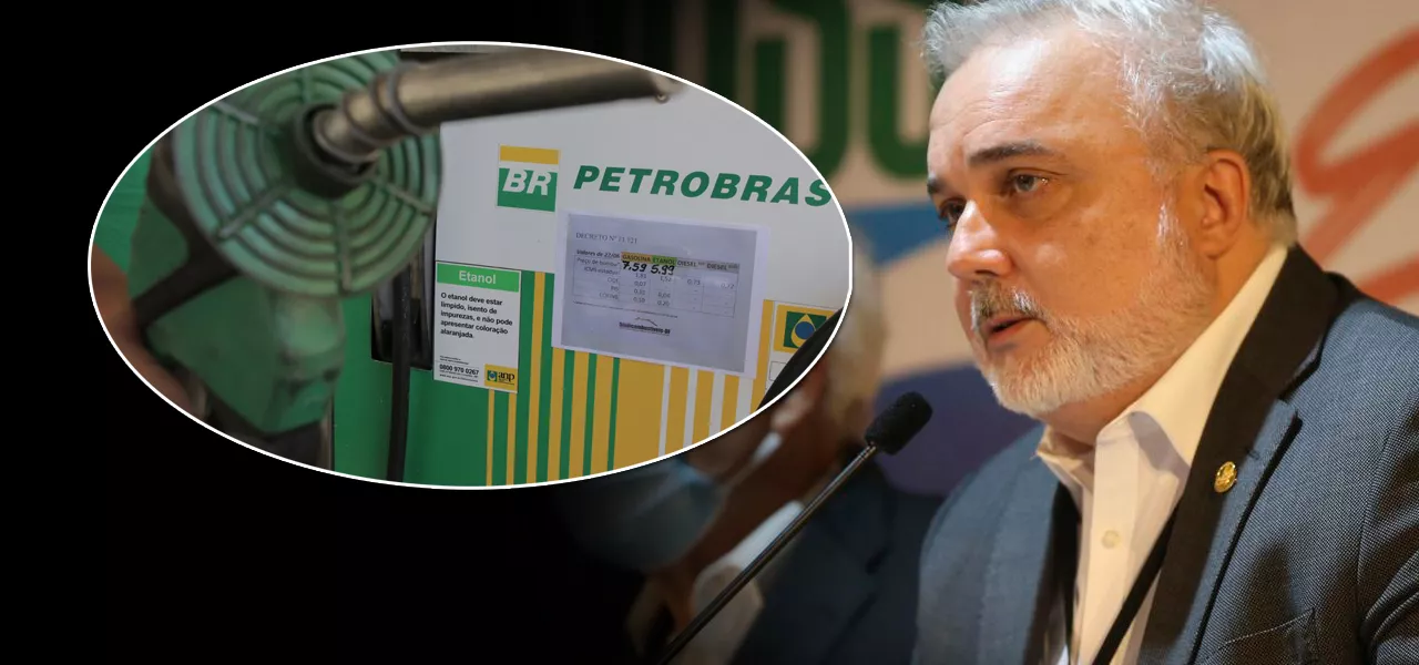 A Vibra tem atualmente o direito de usar a marca da BR, sem que a Petrobrás tenha participação na companhia