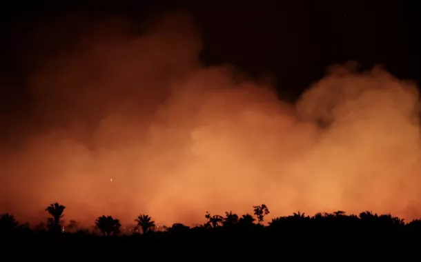 Incêndios na Amazônia brasileira batem recorde no início de 2024 com redução no combate