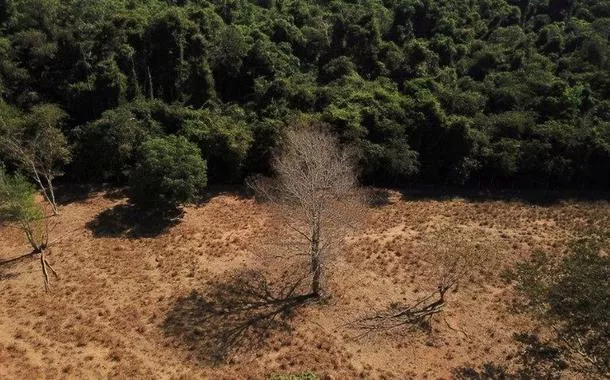 Desmatamento na Amazônia
