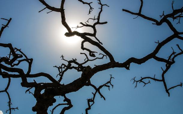 Onda de calor ainda atinge 1.400 cidades brasileiras