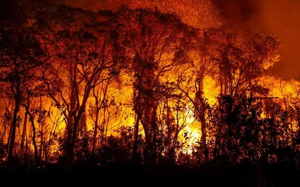 Incêndio no Pantanal