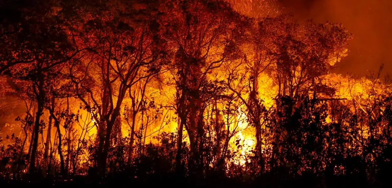 Incêndio no Pantanal