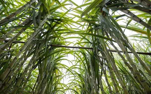 Em parceria com a China, Brasil terá etanol como base de querosene sustentável produzido para o mercado asiático