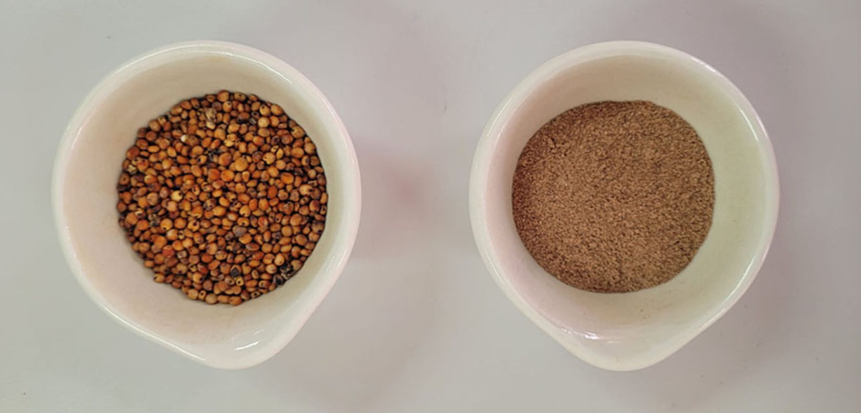 (Foto: Laboratório de Nutrição Experimental da UFV)