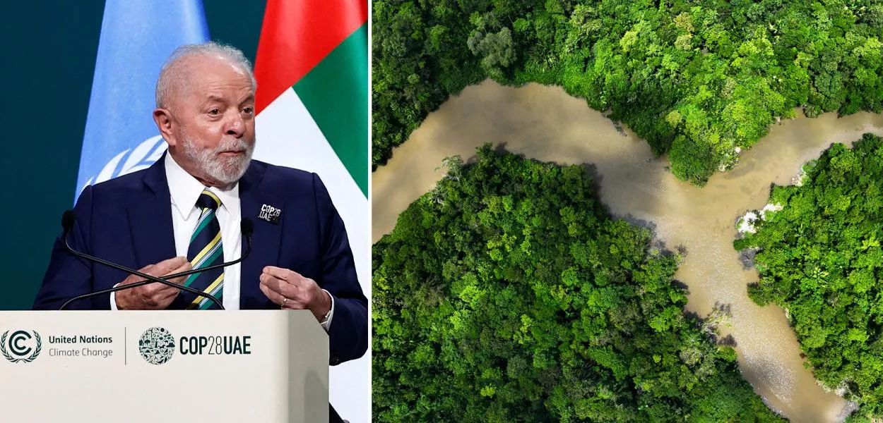 Lula e floresta amazônica 