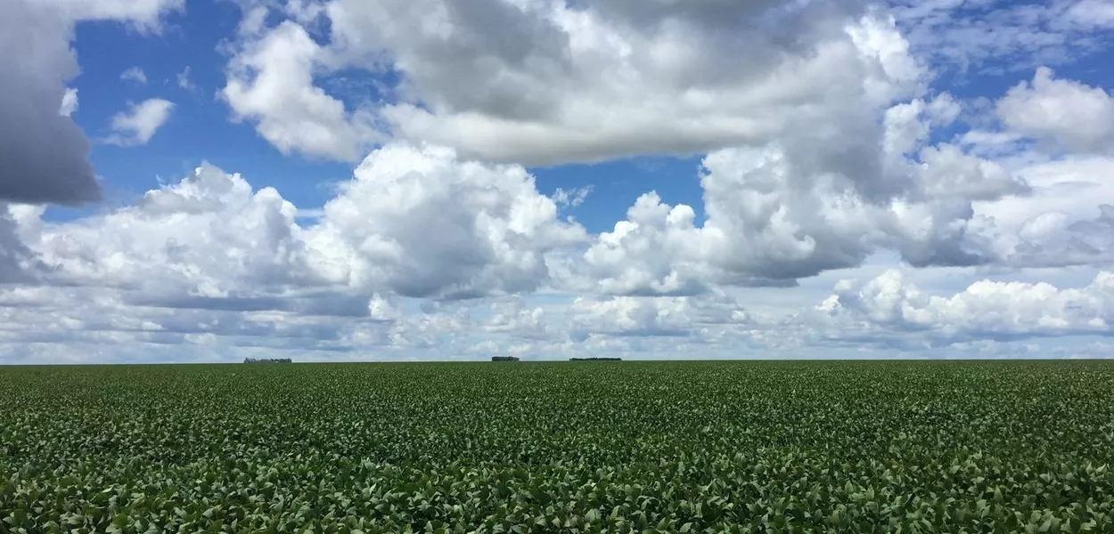Plantação de soja em uma fazenda em Barreiras, Bahia, Brasil