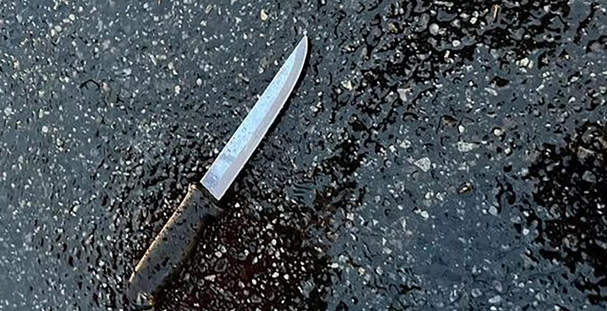 Homem esfaqueia duas pessoas e atropela várias outras em Brasília