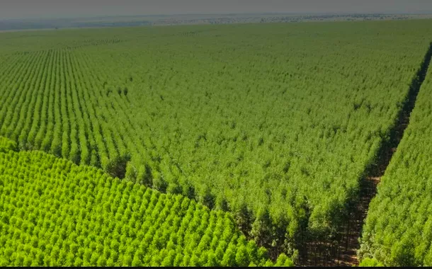 Incra atua contra venda irregularesporte da sorte da deolaneterras para estrangeiros no Brasil