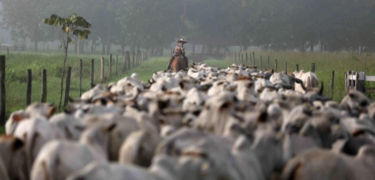 Agronegócio 2025: Sustentabilidade e Inovação à Frente