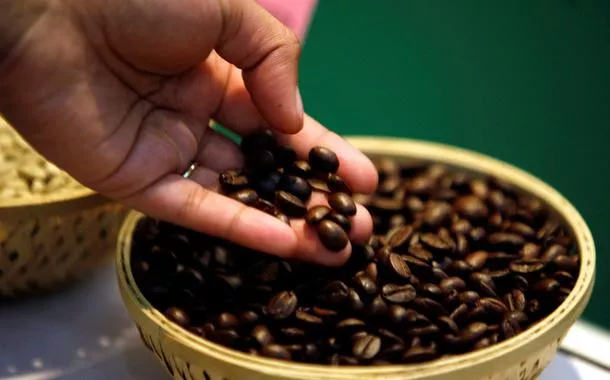 Conab divulga preços-base para café, laranja e trigo na próxima safra