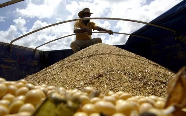Caminhão carregado de soja em Mato Grosso