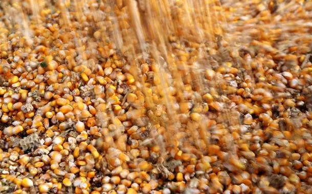 Secex: exportação de milho do Brasil em agosto tem maior volume mensal em quase 2 anos