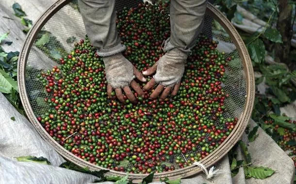 Café atinge mínima e cacau cai mais de 10% na semana